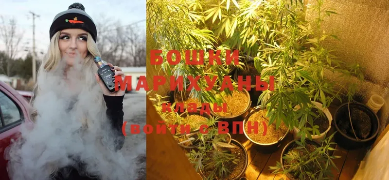 OMG ССЫЛКА  Люберцы  Марихуана White Widow 